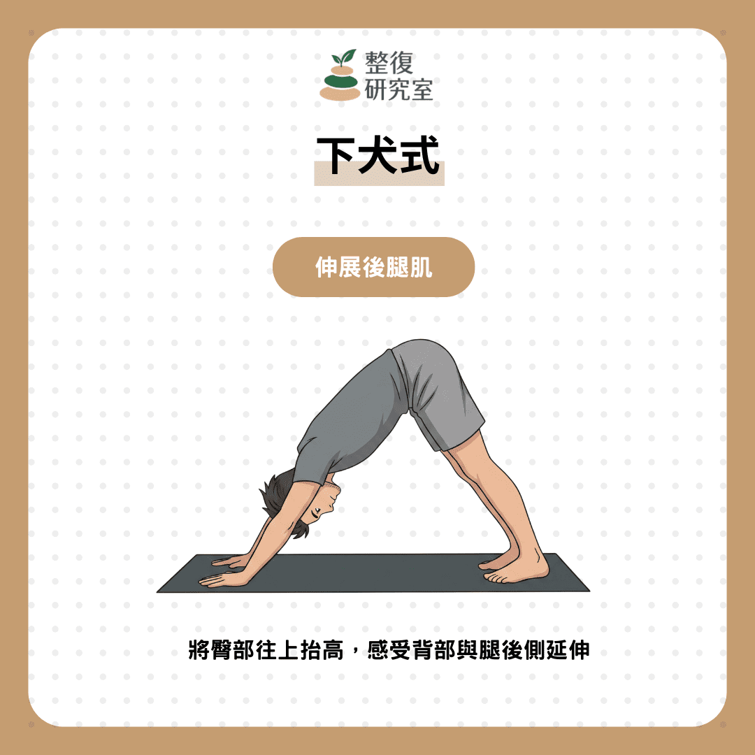 誰的骨盆最端正!5個改善骨盆前傾運動,在家也能自我矯正(附判斷方式)