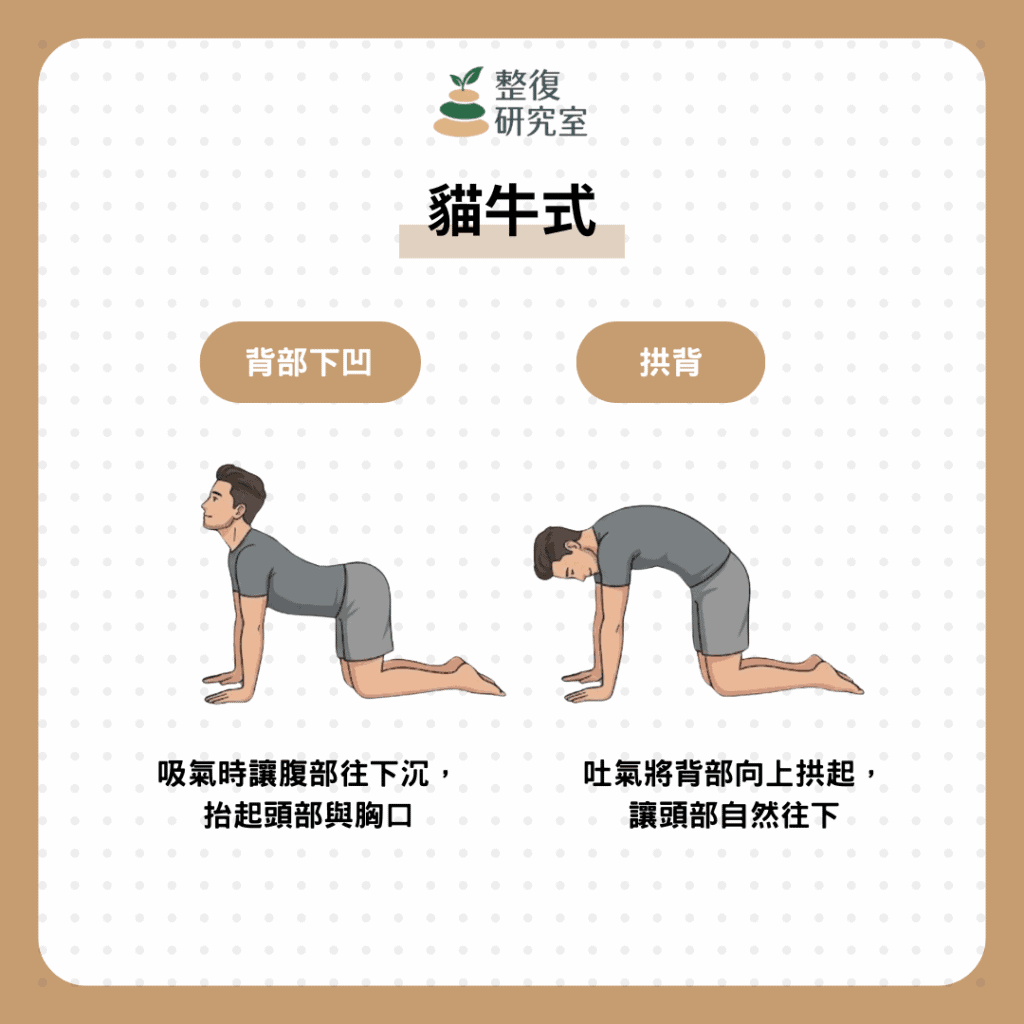 久坐腰痛別忽略!5大原因、5招舒緩方法+伸展運動一次看